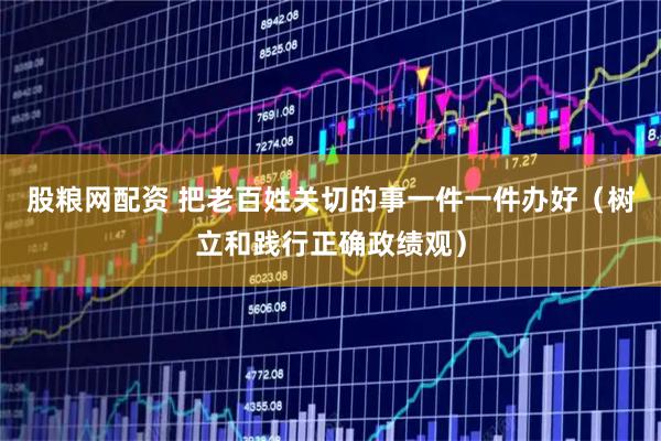 股粮网配资 把老百姓关切的事一件一件办好(树立和践行正确政绩观)